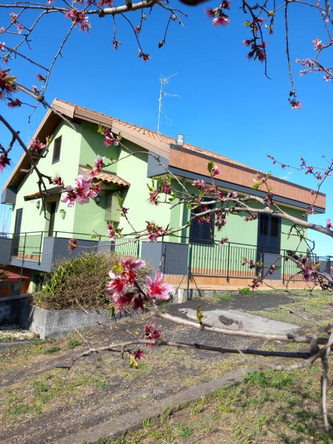 Etna Green House Villa Zafferana Etnea Exterior photo