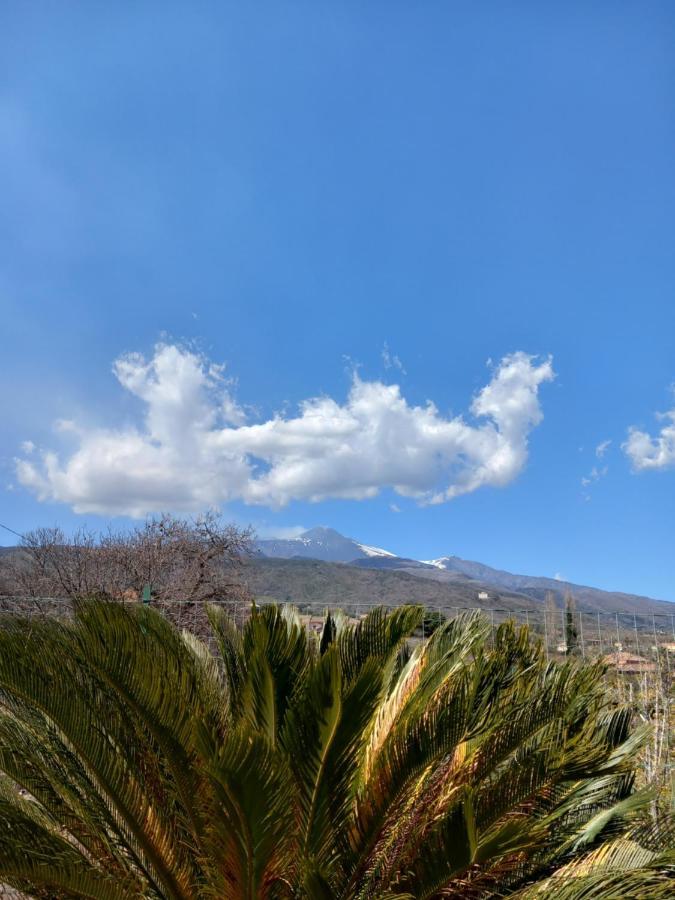 Etna Green House Villa Zafferana Etnea Exterior photo