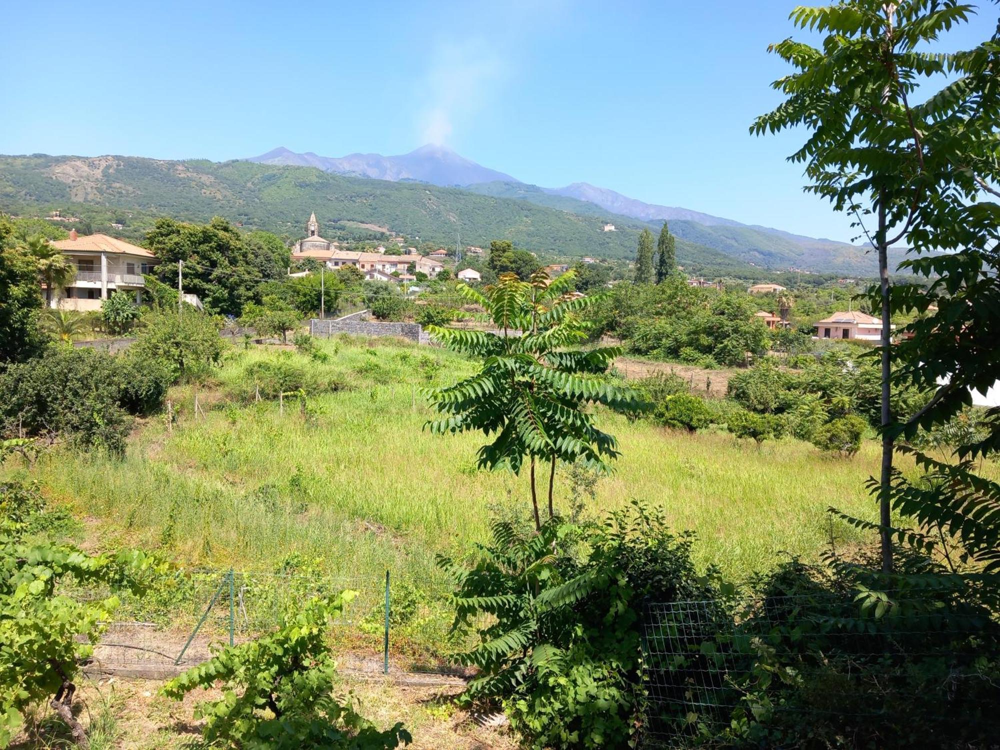 Etna Green House Villa Zafferana Etnea Exterior photo